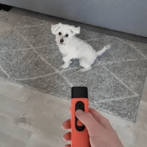 LydLyn | Få hunden din til å slutte å bjeffe med ett klikk